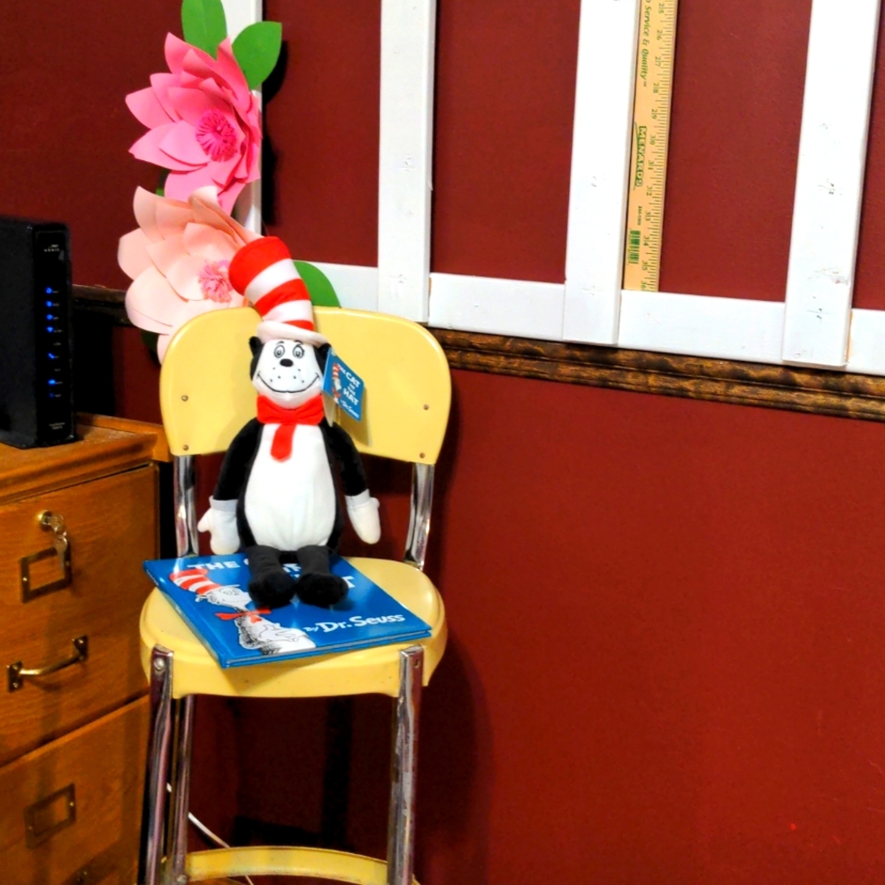 🌲Dr. Seuss "The Cat in the Hat & Plush